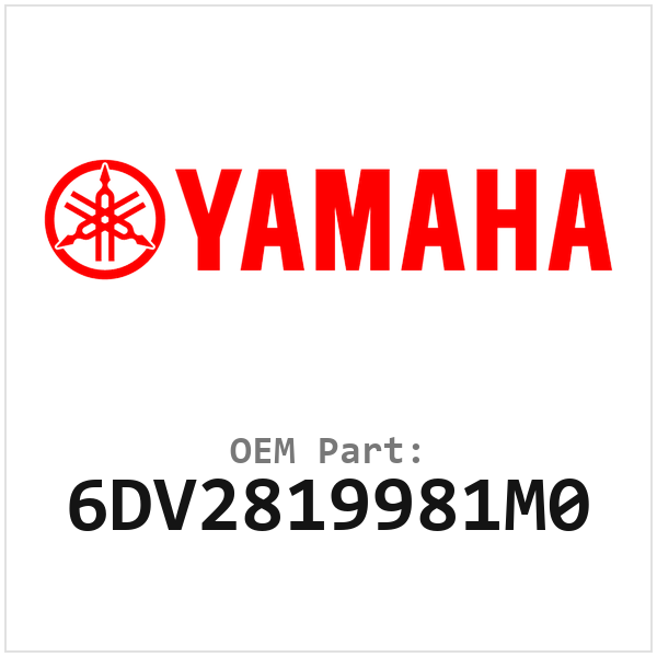 6DV2819981M0