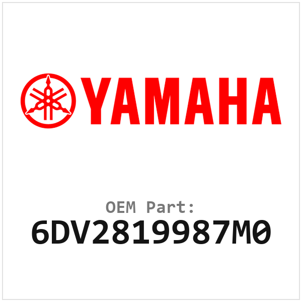 6DV2819987M0
