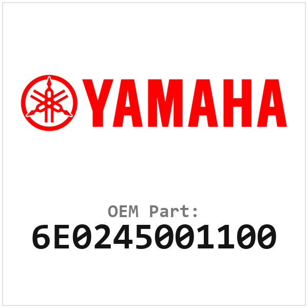 6E0245001100