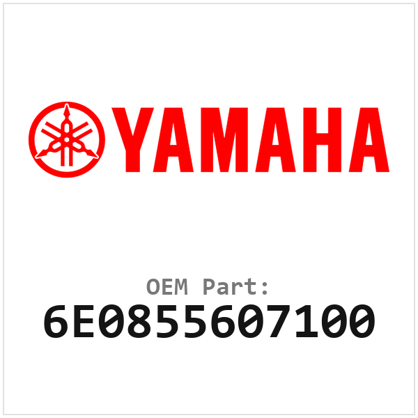 Yamaha Magneto Basisplaat (Base Assy) (6E0855607100)