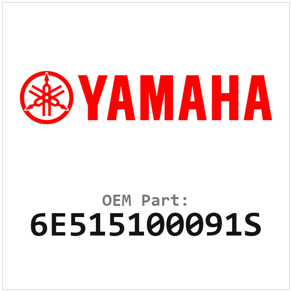 6E515100091S