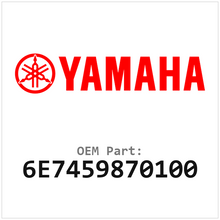 6E7459870100
