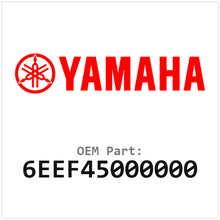 6EEF45000000