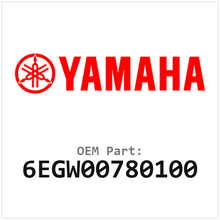6EGW00780100