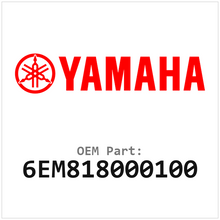 6EM818000100
