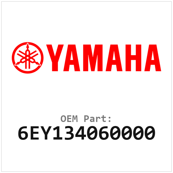 6EY134060000
