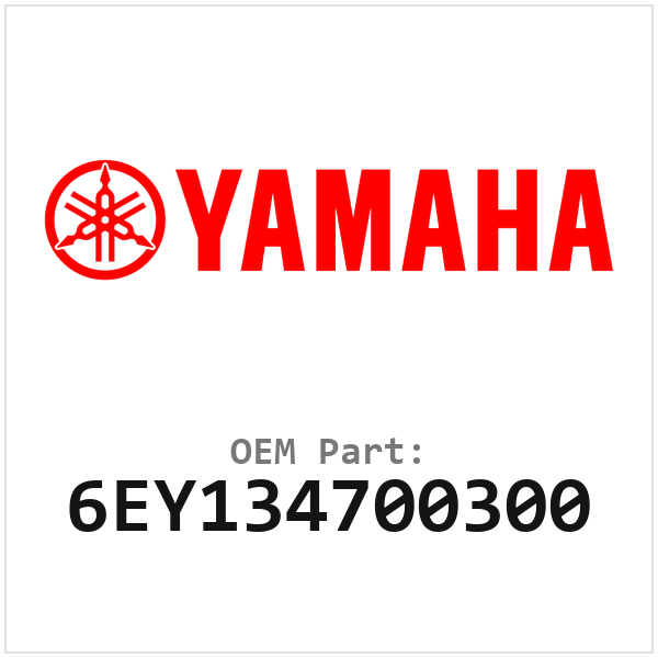6EY134700300