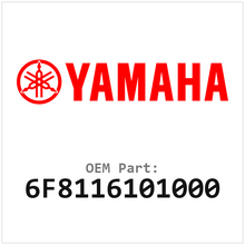 6F8116101000