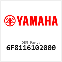 6F8116102000