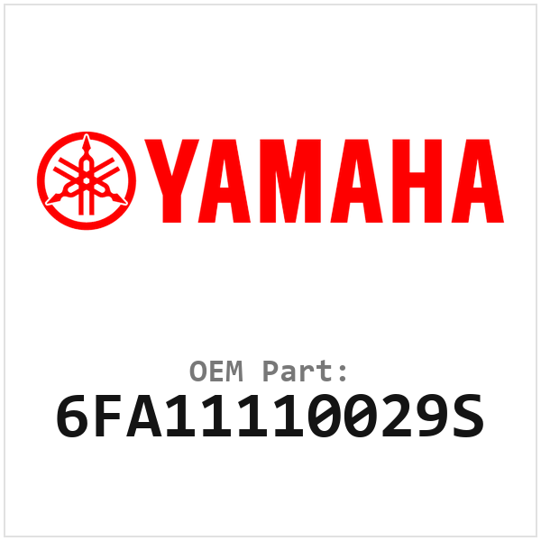 6FA11110029S