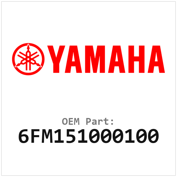 6FM151000100