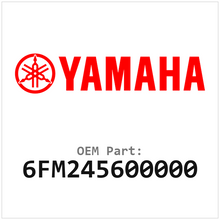 6FM245600000