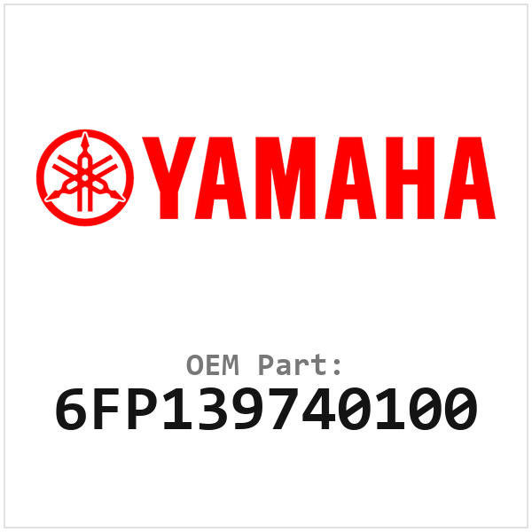 6FP139740100