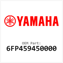 6FP459450000