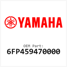 6FP459470000