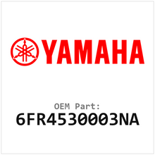 6FR4530003NA