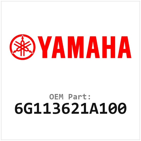 Yamaha Pakking (6G113621A100)