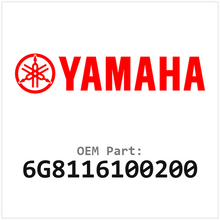 6G8116100200