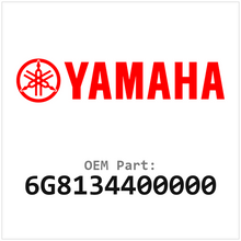 6G8134400000