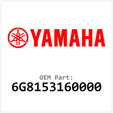 6G8153160000