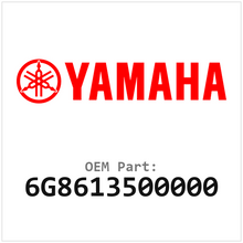 6G8613500000