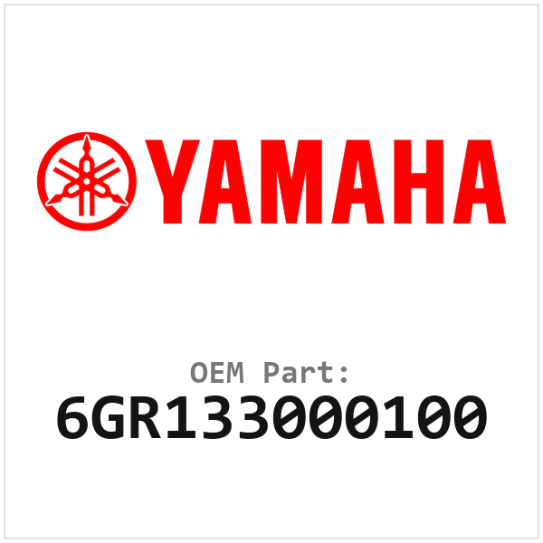 6GR133000100