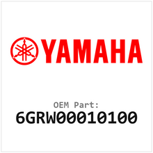 6GRW00010100
