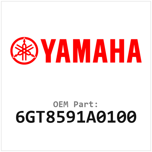 6GT8591A0100