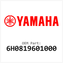 6H0819601000