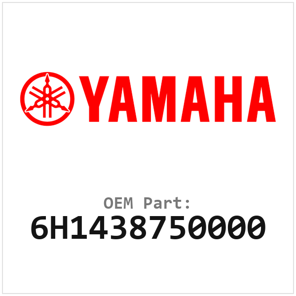 Yamaha Sluitring (6H1438750000)