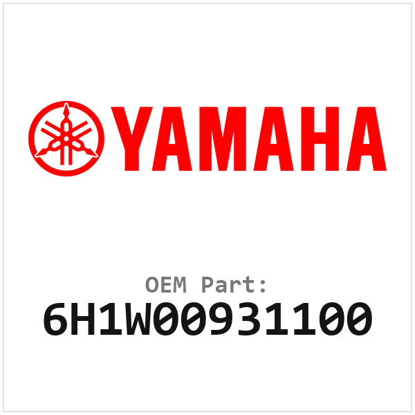 6H1W00931100