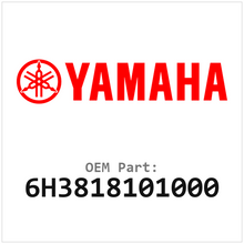 Yamaha Stator (6H3818101000)