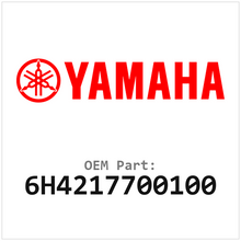 Yamaha Dop (6H4217700100)