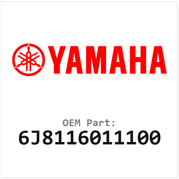 6J8116011100