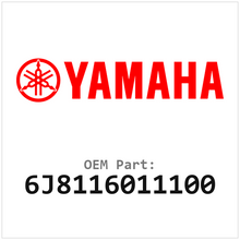 6J8116011100