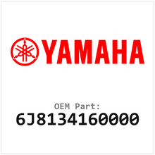Yamaha Olieleiding (6J8134160000)