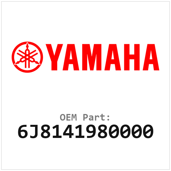 Yamaha Pakking (6J8141980000)
