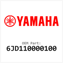 6JD110000100