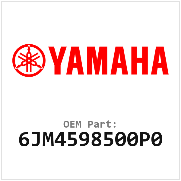 6JM4598500P0