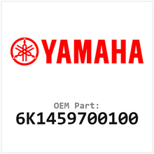 6K1459700100