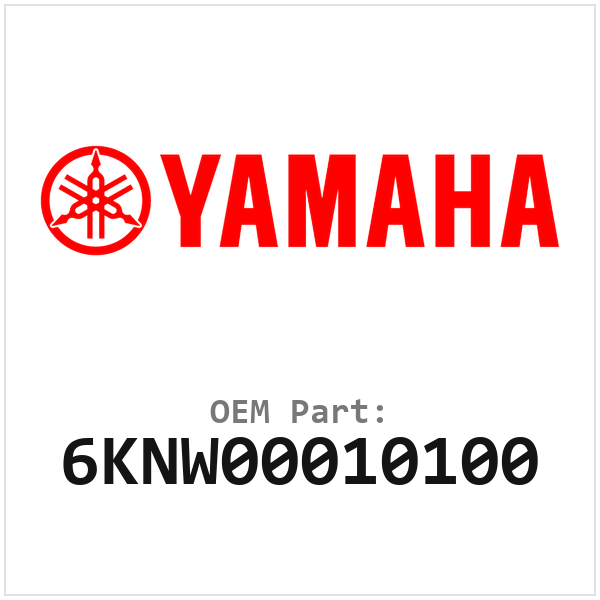 6KNW00010100