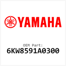 6KW8591A0300