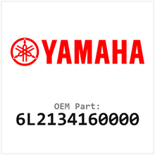6L2134160000