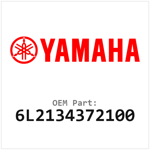 6L2134372100