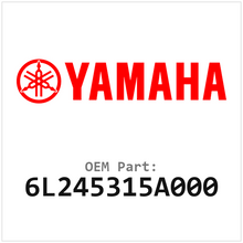 6L245315A000