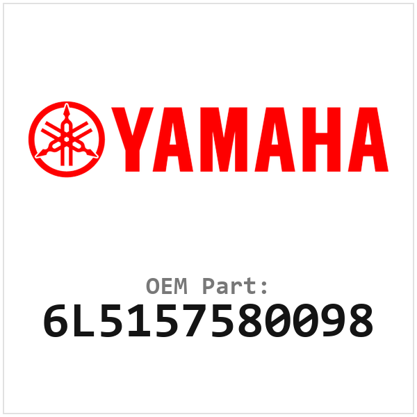 6L5157580098