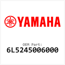 6L5245006000