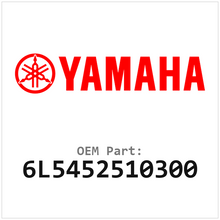 6L5452510300