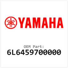 6L6459700000