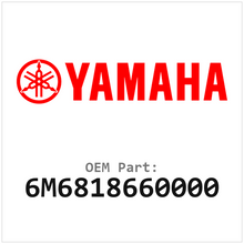 6M6818660000
